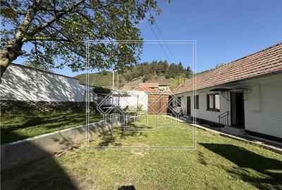 Casa individuala in Talmacel - teren 1107 mp, mobilata - 15