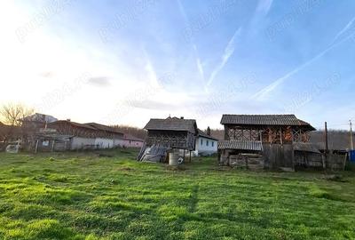 Casă cu Teren 4443 Mp în Pleșoiu (Nicolae Bălcescu) - 8