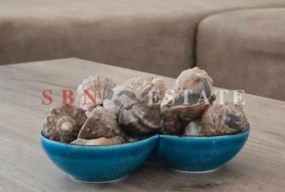 Apartament cu 2 camere semidecomandat în Roșu - 6