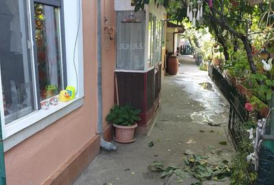 Casă cu 3 camere cu Teren 183 Mp în Viilor