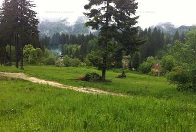 Teren intravilan Cotul Donului,pretabil Hotel/pensiune. - 4