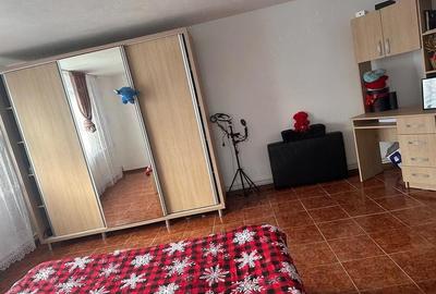 Casă cu 4 camere cu Teren 4000 Mp în Musculești - 7