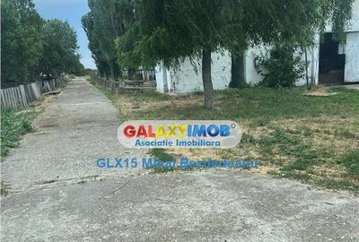 Ferma zootehnicaFunctionala zona Tomsani - 7