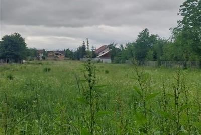 TEREN DE VANZARE IN EXCLUSIVITATE IN ONESTI PE STRADA REDULUI 7028 MP - 3