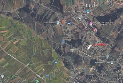 Teren de 2381 mp, în Paleu - 3