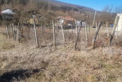 Casă cu 3 camere cu Teren 2000 Mp în Iordăcheanu - 14