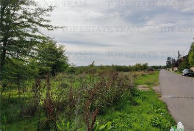 Teren 20.000mp Corbeanca - 3