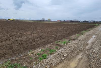 Vand Teren Comunca Berceni - Padurea Craiului - 2