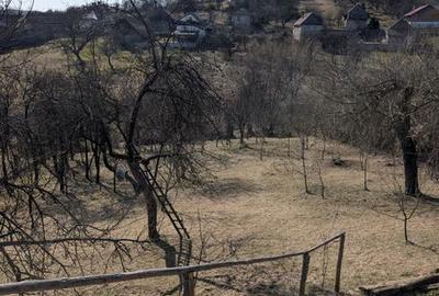 Teren de 2784 mp, în Căpușu Mare - 7