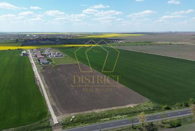 Teren Construcții intravilan de 6411 mp, în Sânandrei - 3