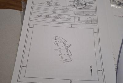 Spațiu comercial, în Cerbu - 4