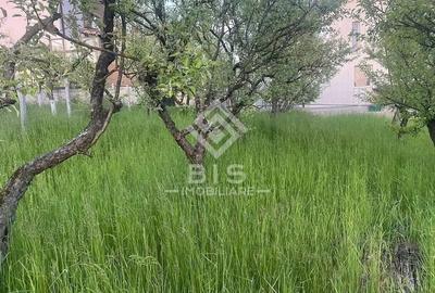 Teren de vanzare - Sigmir - 6