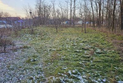 Casă cu 2 camere în Grozești - 4