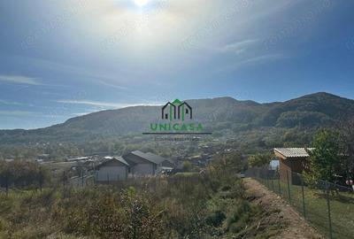 Teren intravilan - 1020 mp - Vladesti Priporu - 2