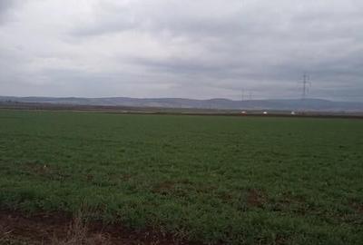 De vanzare terenuri intravilane intre Chilieni si Ozun - 1