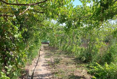 Casă cu 4 camere în Drănic - 1