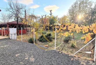 Apartament 2 camere de inchiriat curte, foi?or,gradina zona Shopping City - 1