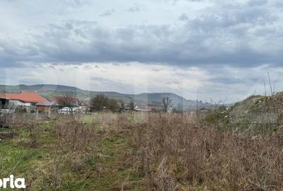 Teren de 9292 mp, în Cuzdrioara - 3