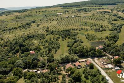 Exclusivitate! Teren pentru investitie - 2