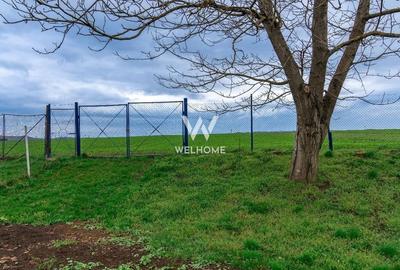 Casa Rosia, Sibiu, teren 1700mp - 8