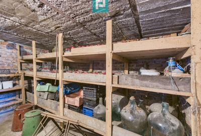 Casă individuală cu 4 camere cu Teren 1413 Mp în Girișu de Criș - 21