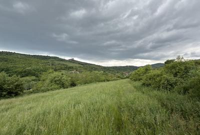 Teren agricol extravilan de 4000 mp, în Ampoița - 2