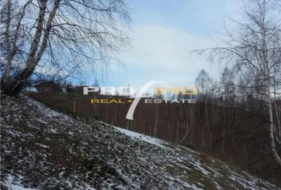 Teren în Moieciu - 5