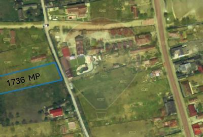Teren Construcții intravilan de 1736 mp, în Dunavățu de Jos - 4