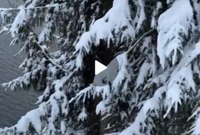 Spațiu comercial, în Beliș - 1