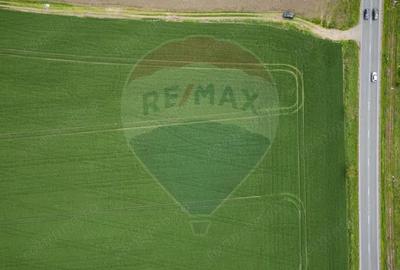 Teren de 30000 mp, în Grădiște - 1