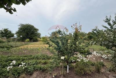 Casă individuală cu 6 camere cu Teren 1340 Mp în Zorleni - 3