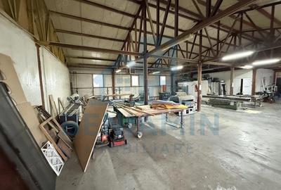 Hala disponibila - 180mp - Bariera Valcii - 3