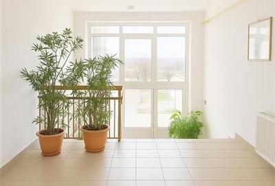Apartament cu 4 camere decomandat în Bâlc - 21