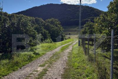 Teren de 500 mp, în Central