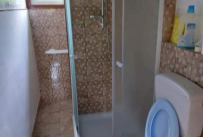 Casă cu Teren 1100 Mp în Ocolișu Mare - 8