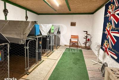 Casă cu 5 camere cu Teren 2497 Mp în Cefa - 10