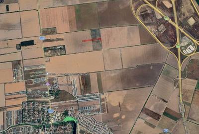 Teren agricol intravilan de 8144 mp, în Tunari - 1
