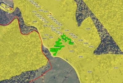 TEREN INTRAVILAN 15.379 MP - zona Scaricica, Alexandru cel Bun, Neamt