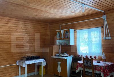 Cabana la munte in inima padurii la 15 km de Bra?ov, zon - 2