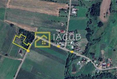 Teren intravilan, sat Petricica, comuna Strugari, Bacau - 2