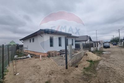 DE VANZARE - Casa 4 camere in Campia Vlasiei/Darza - 2