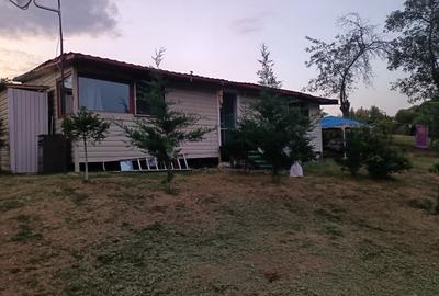 Teren Construcții intravilan de 1200 mp, în Alunișu (Băiculești) - 9