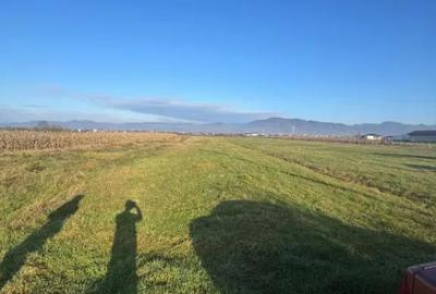 Teren de 1800 mp, în Mocira