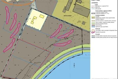 Teren intravilan 20000 mp - Lacul Morii - 3