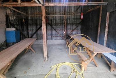 Oportunitate Investitie DN5: 1 ha Intravilan+Casa–Mix Rezidential/Comercial - 15