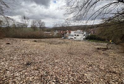 Spațiu comercial, în Făget - 2