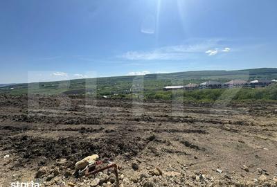 Teren de 5100 mp, în Chinteni