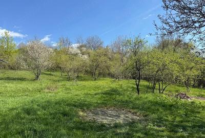 Casă cu 4 camere cu Teren 4000 Mp în Valea Popii (Mihăești) - 8