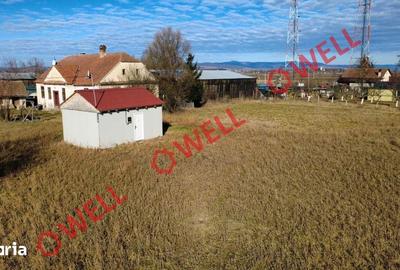 Teren de 3563 mp, în Boroșneu Mare - 3