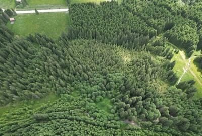 Teren extravilan 5000 MP Comandau - 5